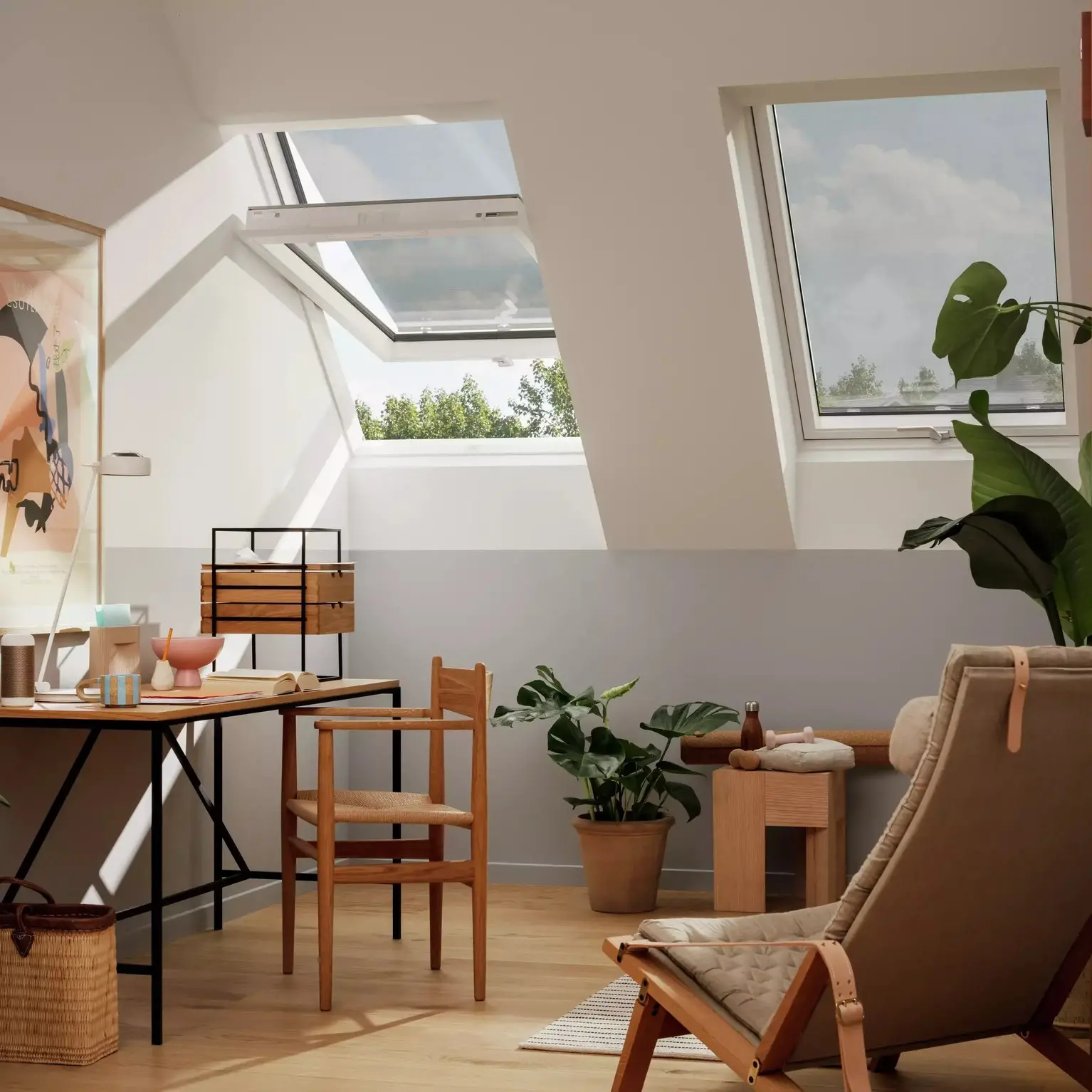 Fenster, Gebäude, Dachfenster, Pflanze, Fußboden